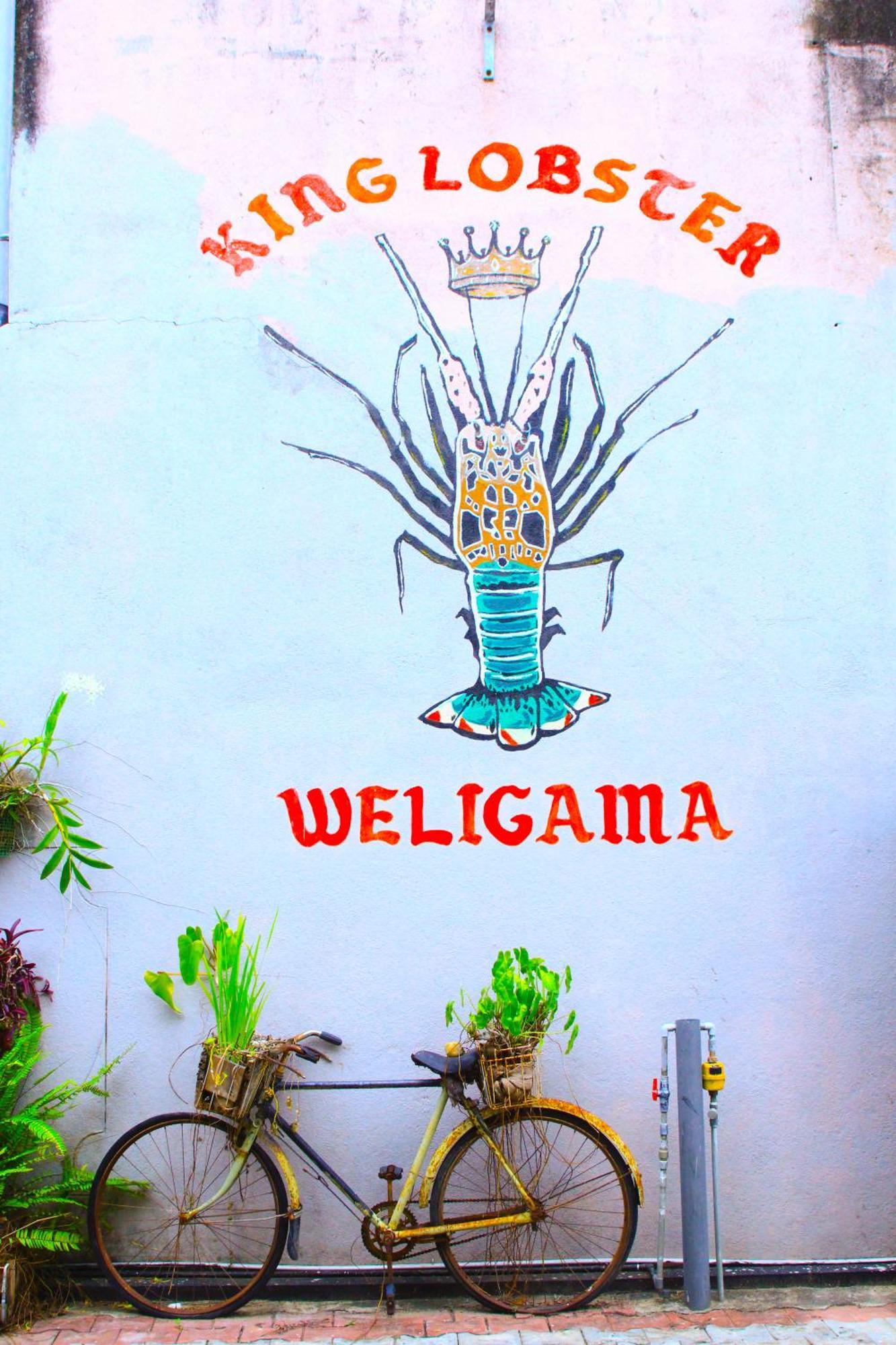 7Elements - Boutique Hotel & Restaurant Weligama Exterior photo